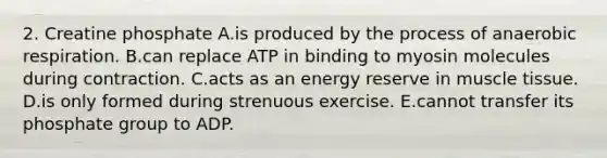 2. Creatine phosphate A.is produced by the process of anaerobic respiration. B.can replace ATP in binding to myosin molecules during contraction. C.acts as an energy reserve in muscle tissue. D.is only formed during strenuous exercise. E.cannot transfer its phosphate group to ADP.