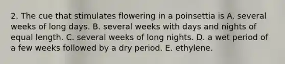 2. The cue that stimulates flowering in a poinsettia is A. several weeks of long days. B. several weeks with days and nights of equal length. C. several weeks of long nights. D. a wet period of a few weeks followed by a dry period. E. ethylene.