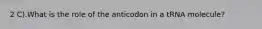 2 C).What is the role of the anticodon in a tRNA molecule?