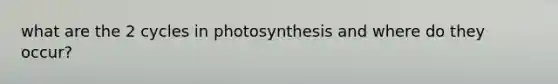 what are the 2 cycles in photosynthesis and where do they occur?