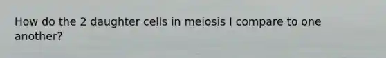 How do the 2 daughter cells in meiosis I compare to one another?