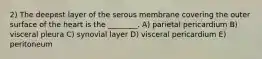 2) The deepest layer of the serous membrane covering the outer surface of the heart is the ________. A) parietal pericardium B) visceral pleura C) synovial layer D) visceral pericardium E) peritoneum