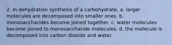 2. In dehydration synthesis of a carbohydrate, a. larger molecules are decomposed into smaller ones. b. monosaccharides become joined together. c. water molecules become joined to monosaccharide molecules. d. the molecule is decomposed into carbon dioxide and water.