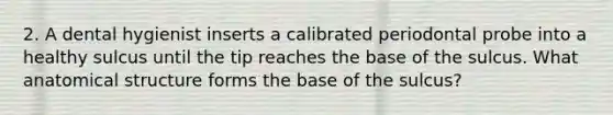 2. A dental hygienist inserts a calibrated periodontal probe into a healthy sulcus until the tip reaches the base of the sulcus. What anatomical structure forms the base of the sulcus?