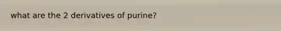 what are the 2 derivatives of purine?