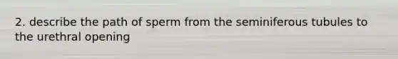 2. describe the path of sperm from the seminiferous tubules to the urethral opening