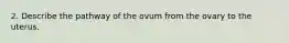 2. Describe the pathway of the ovum from the ovary to the uterus.