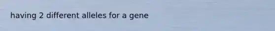 having 2 different alleles for a gene