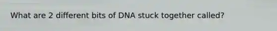 What are 2 different bits of DNA stuck together called?