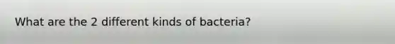 What are the 2 different kinds of bacteria?