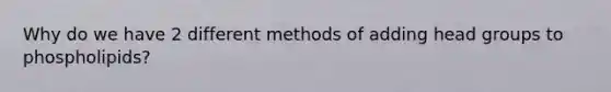 Why do we have 2 different methods of adding head groups to phospholipids?