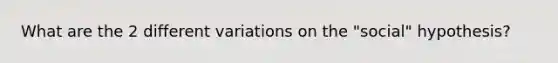 What are the 2 different variations on the "social" hypothesis?