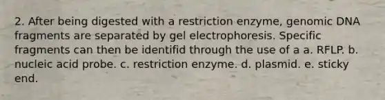 2. After being digested with a restriction enzyme, genomic DNA fragments are separated by gel electrophoresis. Specific fragments can then be identifid through the use of a a. RFLP. b. nucleic acid probe. c. restriction enzyme. d. plasmid. e. sticky end.