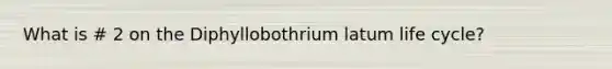 What is # 2 on the Diphyllobothrium latum life cycle?