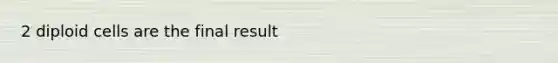 2 diploid cells are the final result