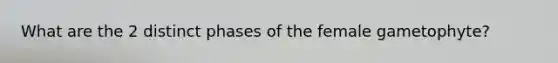 What are the 2 distinct phases of the female gametophyte?