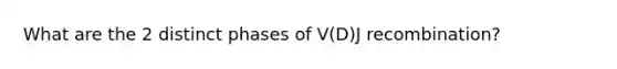 What are the 2 distinct phases of V(D)J recombination?