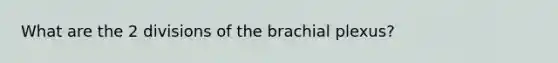 What are the 2 divisions of the brachial plexus?