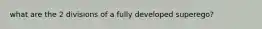 what are the 2 divisions of a fully developed superego?