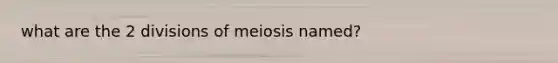 what are the 2 divisions of meiosis named?