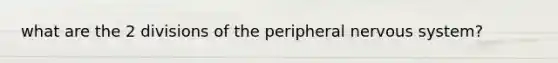 what are the 2 divisions of the peripheral nervous system?