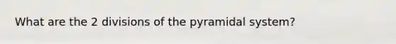 What are the 2 divisions of the pyramidal system?