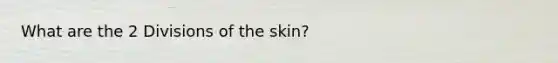 What are the 2 Divisions of the skin?