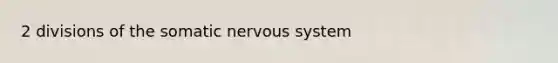 2 divisions of the somatic nervous system