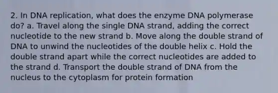 2. In DNA replication, what does the enzyme DNA polymerase do? a. Travel along the single DNA strand, adding the correct nucleotide to the new strand b. Move along the double strand of DNA to unwind the nucleotides of the double helix c. Hold the double strand apart while the correct nucleotides are added to the strand d. Transport the double strand of DNA from the nucleus to the cytoplasm for protein formation