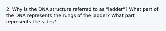 2. Why is the DNA structure referred to as "ladder"? What part of the DNA represents the rungs of the ladder? What part represents the sides?