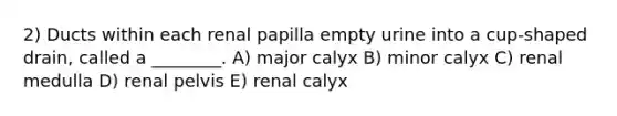 2) Ducts within each renal papilla empty urine into a cup-shaped drain, called a ________. A) major calyx B) minor calyx C) renal medulla D) renal pelvis E) renal calyx