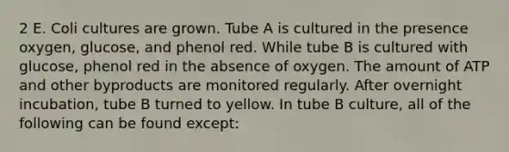 2 E. Coli cultures are grown. Tube A is cultured in the presence oxygen, glucose, and phenol red. While tube B is cultured with glucose, phenol red in the absence of oxygen. The amount of ATP and other byproducts are monitored regularly. After overnight incubation, tube B turned to yellow. In tube B culture, all of the following can be found except: