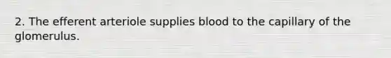 2. The efferent arteriole supplies blood to the capillary of the glomerulus.