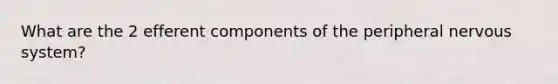 What are the 2 efferent components of the peripheral nervous system?