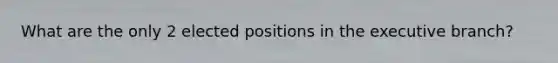 What are the only 2 elected positions in the executive branch?