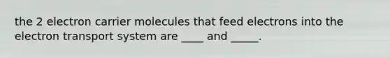 the 2 electron carrier molecules that feed electrons into the electron transport system are ____ and _____.