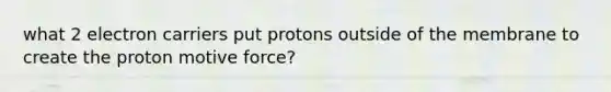 what 2 electron carriers put protons outside of the membrane to create the proton motive force?