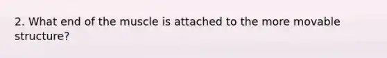 2. What end of the muscle is attached to the more movable structure?