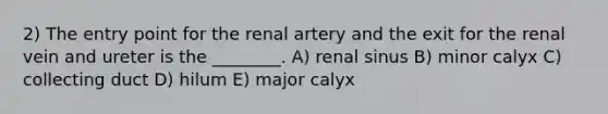 2) The entry point for the renal artery and the exit for the renal vein and ureter is the ________. A) renal sinus B) minor calyx C) collecting duct D) hilum E) major calyx