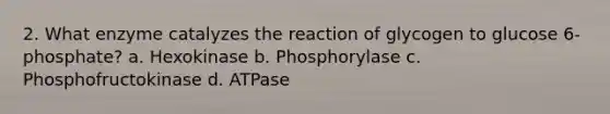 2. What enzyme catalyzes the reaction of glycogen to glucose 6-phosphate? a. Hexokinase b. Phosphorylase c. Phosphofructokinase d. ATPase