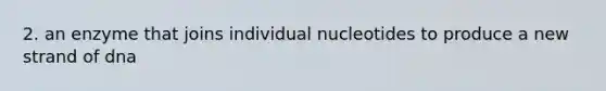 2. an enzyme that joins individual nucleotides to produce a new strand of dna