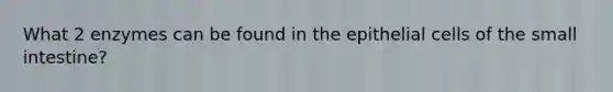 What 2 enzymes can be found in the epithelial cells of <a href='https://www.questionai.com/knowledge/kt623fh5xn-the-small-intestine' class='anchor-knowledge'>the small intestine</a>?