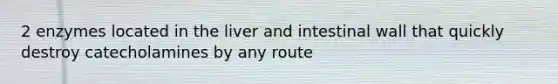 2 enzymes located in the liver and intestinal wall that quickly destroy catecholamines by any route