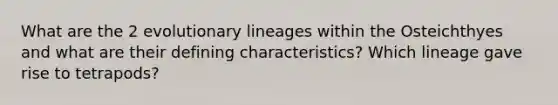 What are the 2 evolutionary lineages within the Osteichthyes and what are their defining characteristics? Which lineage gave rise to tetrapods?