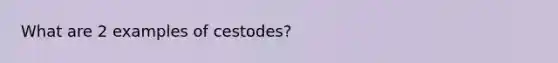 What are 2 examples of cestodes?