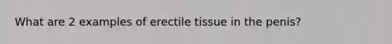 What are 2 examples of erectile tissue in the penis?