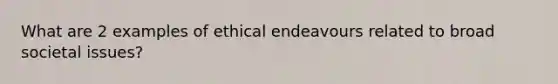 What are 2 examples of ethical endeavours related to broad societal issues?