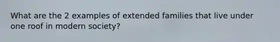 What are the 2 examples of extended families that live under one roof in modern society?