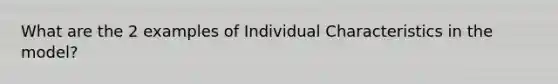 What are the 2 examples of Individual Characteristics in the model?