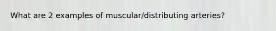 What are 2 examples of muscular/distributing arteries?